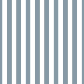 Winter Blue and White Vertical 1 inch French Provincial Stripe