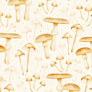 Boho mushrooms | medium