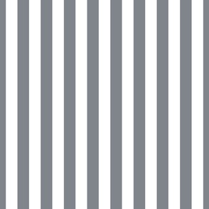 Grey Blue and White Vertical 1 inch French Provincial Stripe