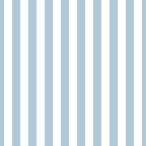 Sky Blue and White Vertical 1 inch French Provincial Stripe