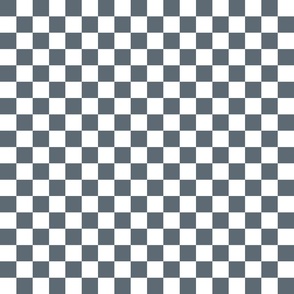 Ice Blue and White One Inch Check French Provincial Winter Checkerboard 