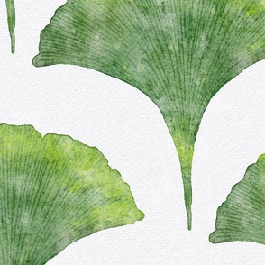 watercolor ginkgo leaf large - kelly green color - watercolor green botanical scallop