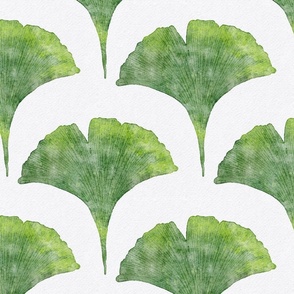 watercolor ginkgo leaf - kelly green color - watercolor green botanical scallop