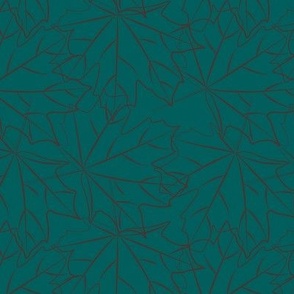 Maple leaves outline on teal