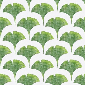 watercolor ginkgo leaf small - kelly green color - watercolor green botanical wallpaper