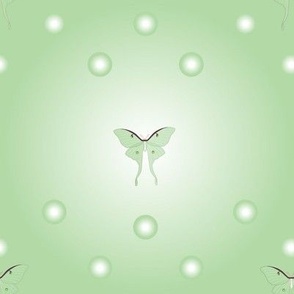 Luna Moth gradient dots 8''