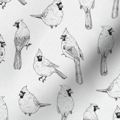 Hand Drawn Line Art Cardinals in Black and White