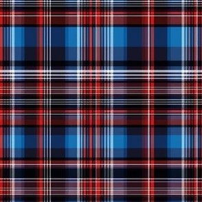 Fine Blue and Red Plaid