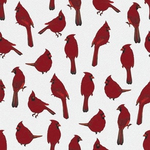 Hand Drawn Red Male Cardinal Birds
