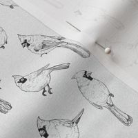 Hand Drawn Line Art Cardinals in Black and White (Small Scale)