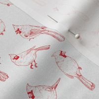 Hand Drawn Line Art Cardinals in Red (Small Scale)