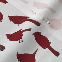 Hand Drawn Red Male Cardinal Birds (Small Scale)