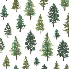 nordic trees