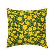 Traditional Buttercups on Dark Green