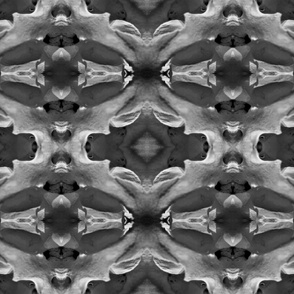 Flower Skull Abstract Photo - Large Columns - Artistic Photography in Black and White - Gothic Decor, Science Lovers, Natural History