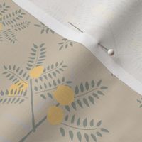 Hand drawn Acacia leaves, flowers and thorns on beige background