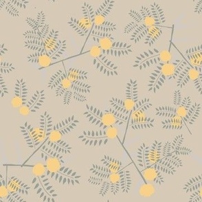 Hand drawn Acacia leaves, flowers and thorns on beige background