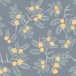 Hand drawn Acacia leaves, flowers and thorns on denim blue background