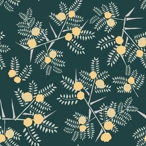 Hand drawn Acacia leaves, flowers and thorns on dark green background