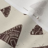 Rustic Brown Moths - smaller