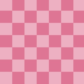 Blush Pink and Dark Hot Pink Check Print Plaid