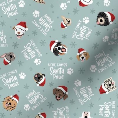 Santa Paws - Dusty Blue, Small Scale