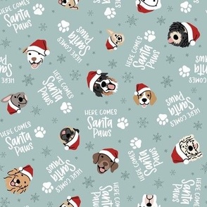 Santa Paws - Dusty Blue, Small Scale