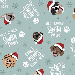 Santa Paws - Dusty Blue, Medium Scale