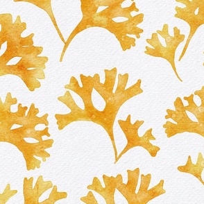 algae - sea moss - marigold orange - phyllophora membranifolia - watercolor marine botanical wallpaper