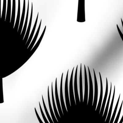 Black and White Palm Leaves Spaced Out