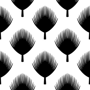 Black and White Palm Leaves Spaced Out