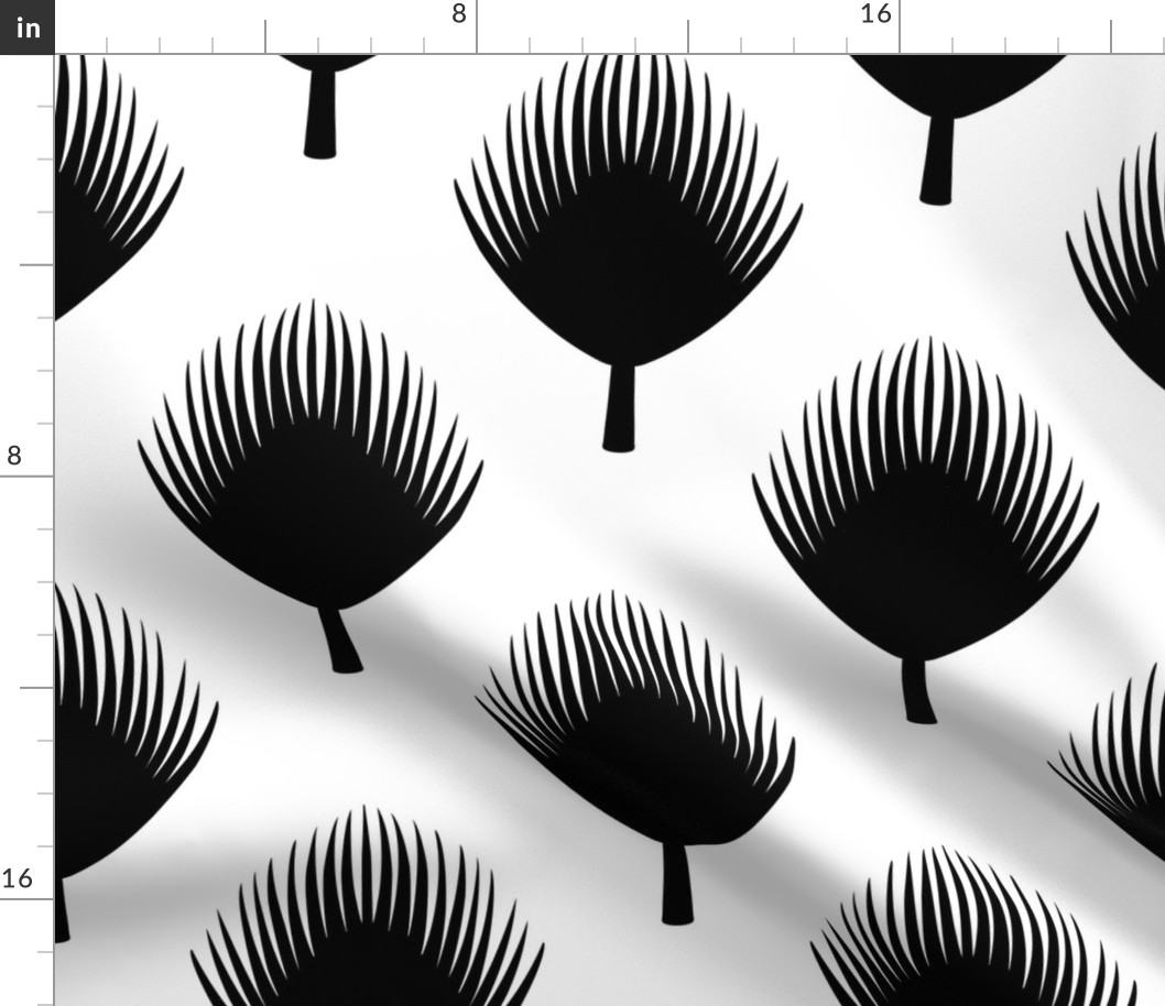 Black and White Palm Leaves Spaced Out