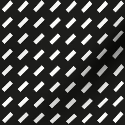 geometric slanted dash stripe_black & white