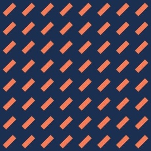 geometric slanted dash stripe_blue_coral