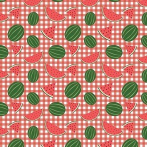 Watermelon Picnic on Red Gingham