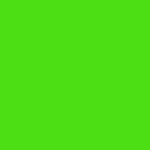 St Patricks Clovers - Solid - Irish Green