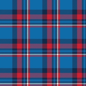 L ✹ Blue and Red Plaid Tartan - Traditional 