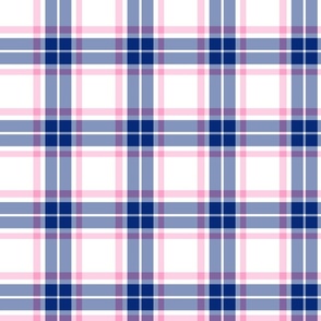 FS Blue and Pink Plaid on White 
