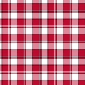 FS Red, White and Black Plaid Check Team Colors