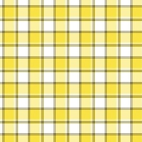FS Yellow with Black Accent Plaid on White Black and Yellow Team Colors Check