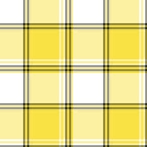 FS Yellow, Black and White Plaid Team Colors
