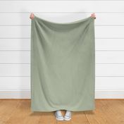 Green light celadon sage Daydream Collection SOLIDS-29