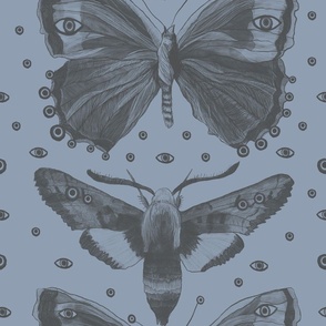 Surreal Naturalist: Evil Eye Butterflies