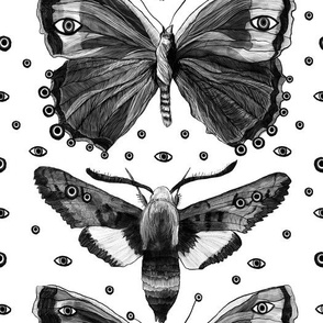 Surreal black butterflies with evil eyes on white background