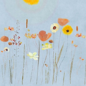 Sunshine Meadow - Apricity 