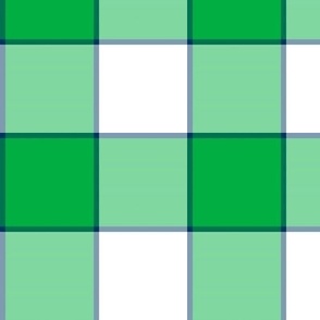 FS Nautical Chic: Green and White Checkered Design with Navy Blue Accents  