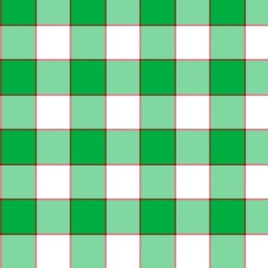 FS Classic Holiday Style: Green, Red, White Plaid Check for Christmas  