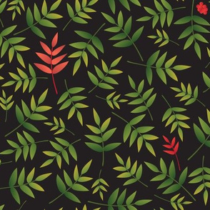 Nandina Leaves-black