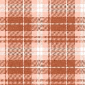 (small scale) fall plaid - brown/pink - LAD23