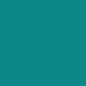 Turquoise Green Solid #008587